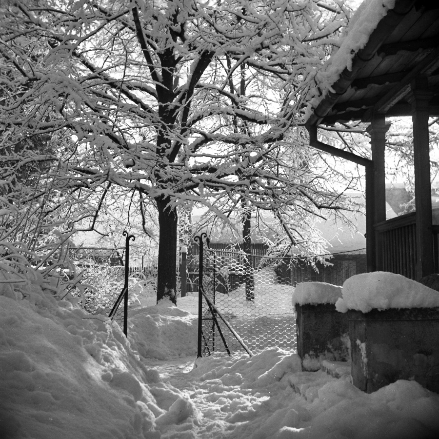 A Petanovits ház télen