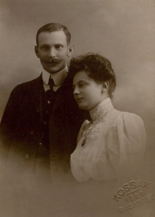Eljegyzés, Lányi Ferenc és menyasszonya